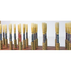 Caña de estudio oboe Arunval