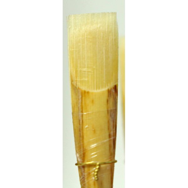 Ancia Per Oboe Studente ARUNVAL Medium - Qualità Artigianale, Con Custodia, Per Principianti - Foto 2