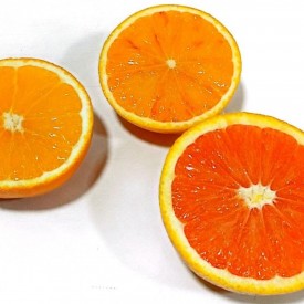 Naranjas PIGMENTADAS (de mesa y zumo)