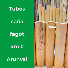 Arundo donax en tubos