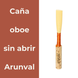 Caña oboe sin abrir Arunval