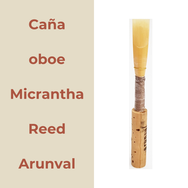 Caña oboe MicranthaReed Arunval