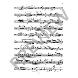 Sesták: 5 Virtuoso inventions for Bassoon