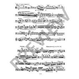 Sesták: 5 Virtuoso inventions for Bassoon